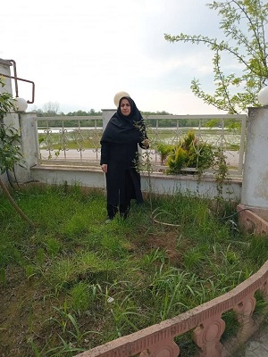 اخبار و اطلاعیه